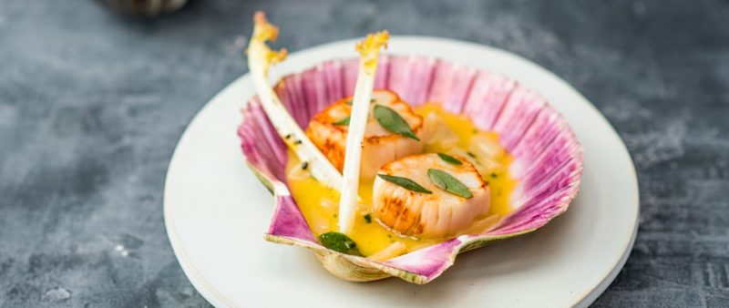 Scallops served in a shell at the Kitchin in Leith, Edinburgh