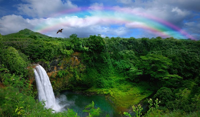 Kauai Hawaii