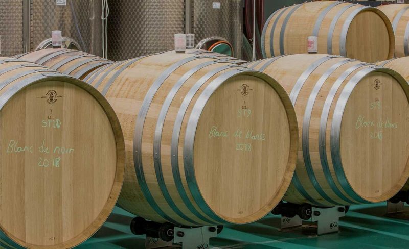 White wine barrels