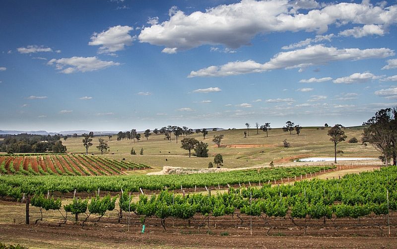 Hunter Valley Vineyards, Australia