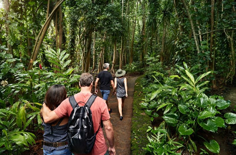 Two couples on a trek through Hawaiian rainforest