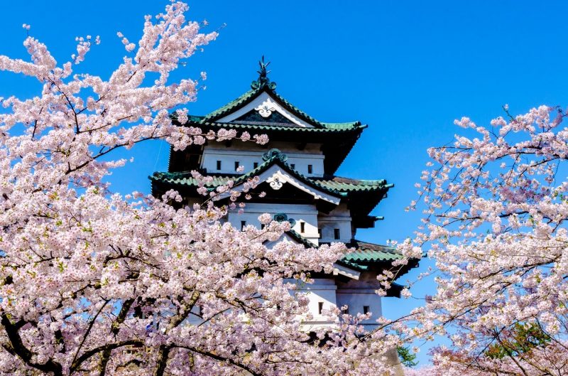 Blossom in front of Hirosaki Castle