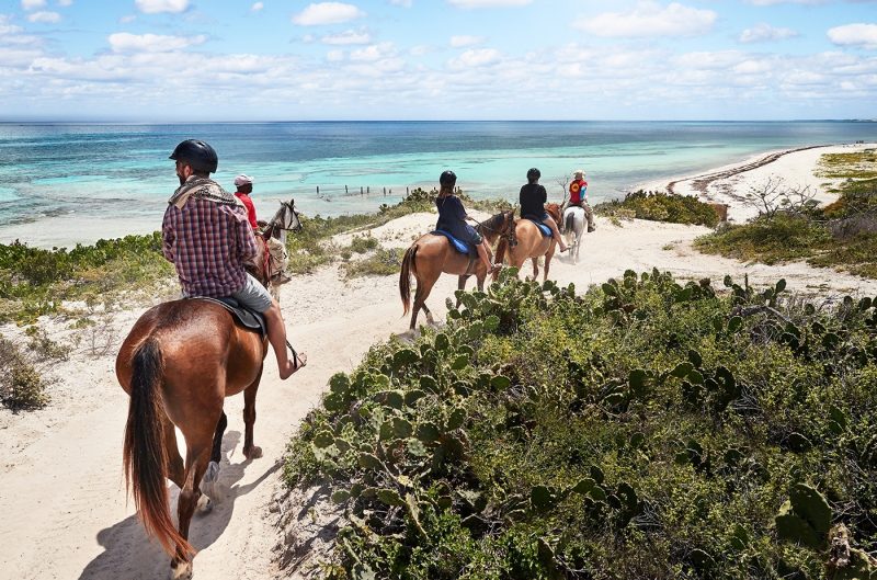 Horseback Riding in Grand Turk