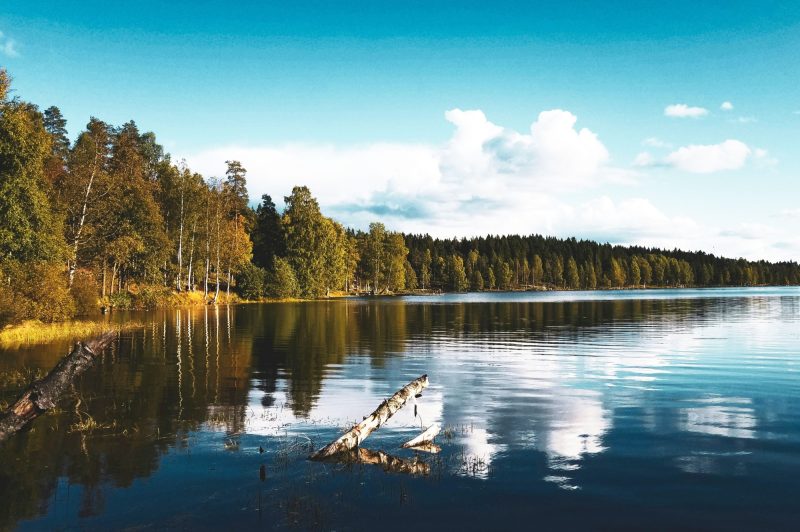 Songsvann lake in Oslo, Norway