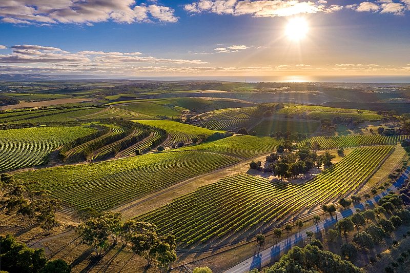 McLaren Vale, South Australia