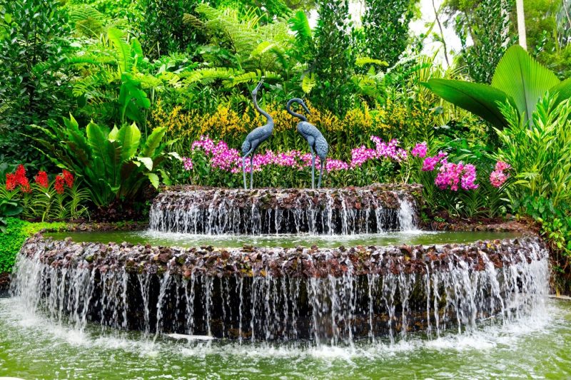 Beautiful pink flowers and a waterfall at the National Orchid Garden in Singapore