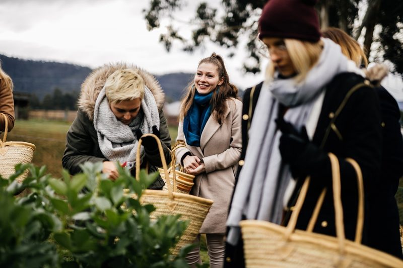 Friends picking fresh produce