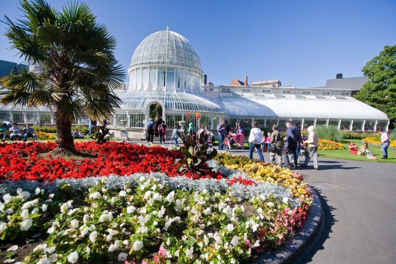 Crowds walking towards the Palm House in Botanic Gardens