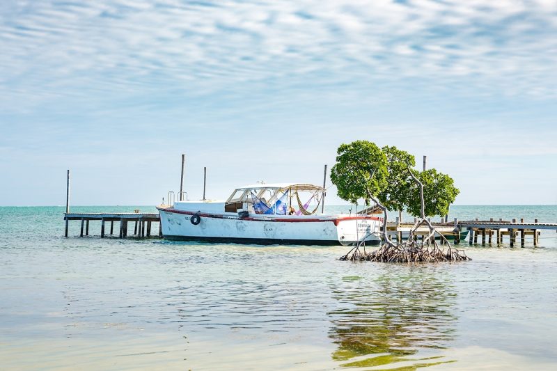 Caye Cauker Island