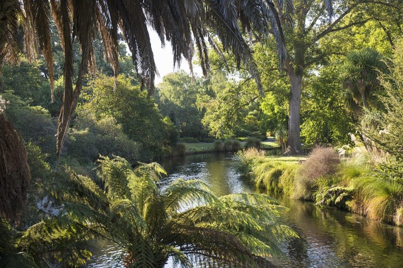 View along the palm-fringed Avon River in Christchurch Botanic Gardens