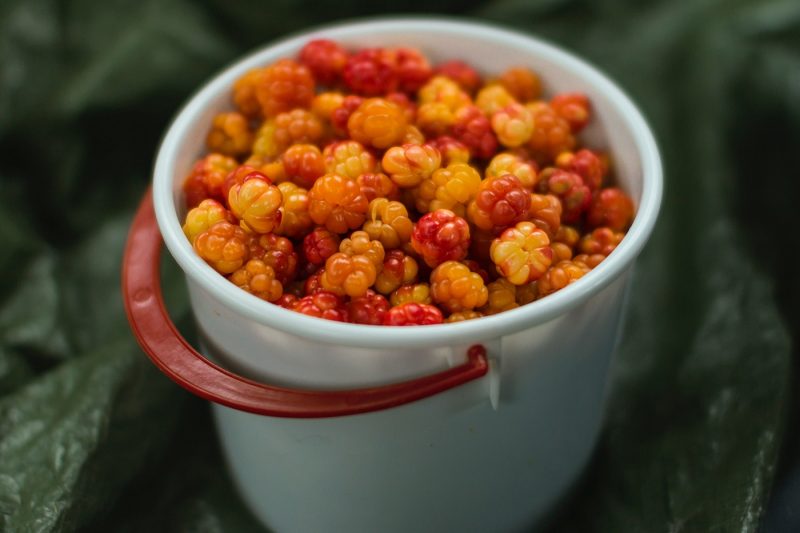 Bucket of Cloudberries