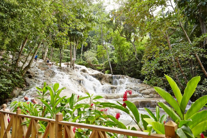 Leafy foliage and water falling at Dunns River Falls in Ochos Rios in Jamaica