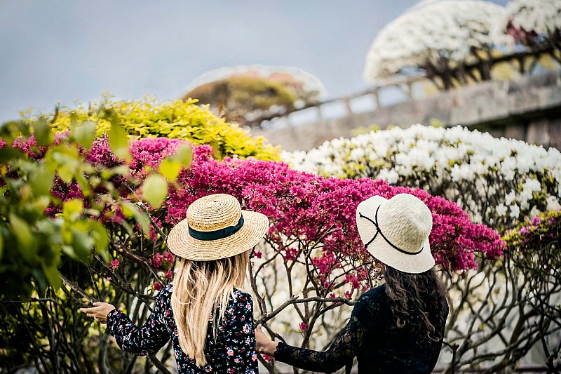 Two women in Hakodate Goryokaku Park Japan