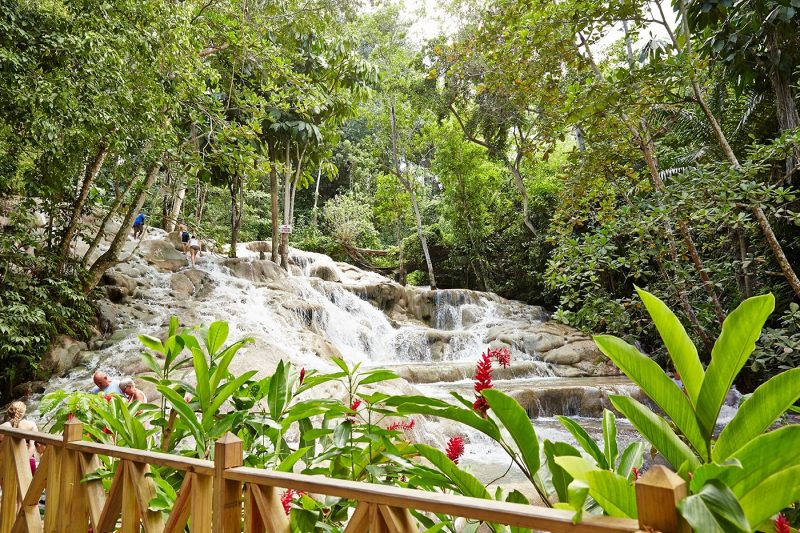 Water and tropical floral surroundings in Jamaica