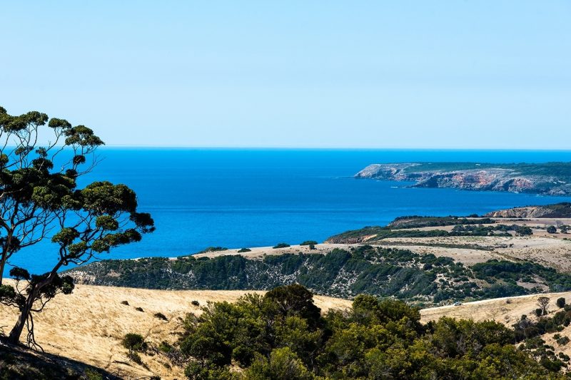 Sea views at Kangaroo Island