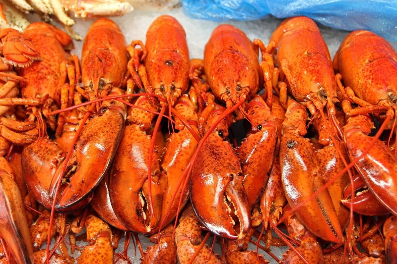 Kate Dowse Fish Market lobster