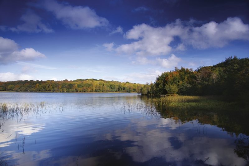 Picturesque shoreline of Lough Erne in Northern Ireland