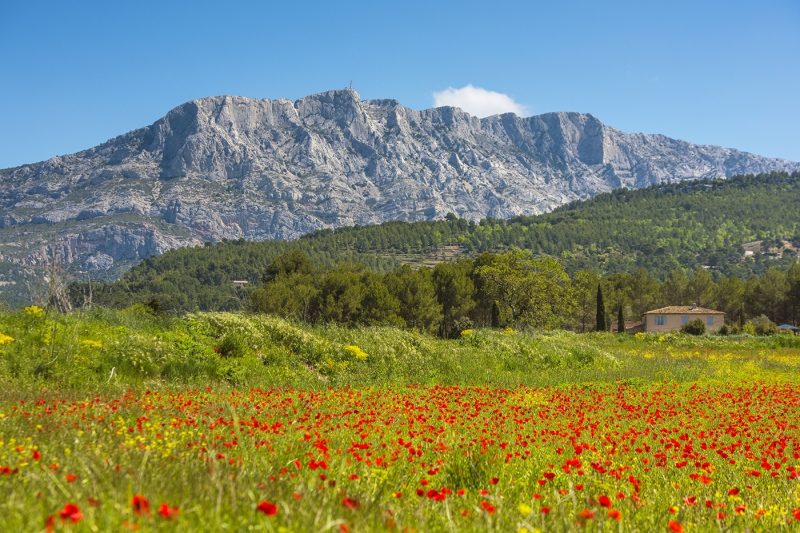 Mont Sainte Victoire