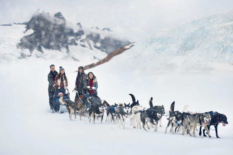 A group of people on an Alaskan mushing excursion being pulled on a sleigh by dogs