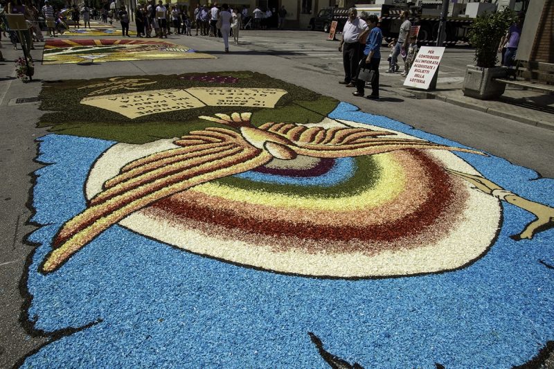Infiorata display in streets