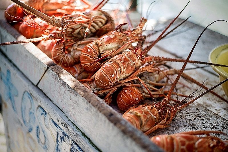 Princess Cruises Lobsters onboard