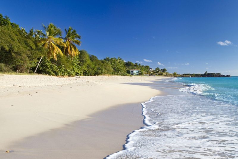 A beach in Antigua