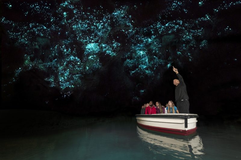 Waitomo Glow Worm Grotto in New Zealand