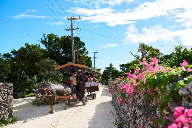 A traditional local tour on Taketomi Okinawa