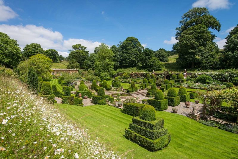 The perfectly manicured topiary at Mapperton