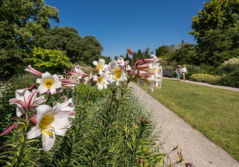 Sir Harold Hillier Gardens