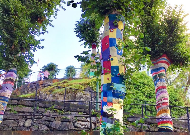 Tree cosies in Bergen, Norway