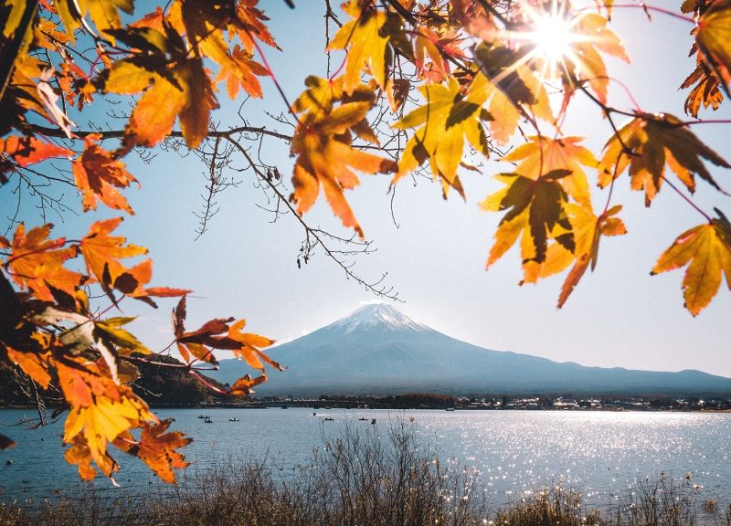 Autumn leaves over lake, with Mt Fuji