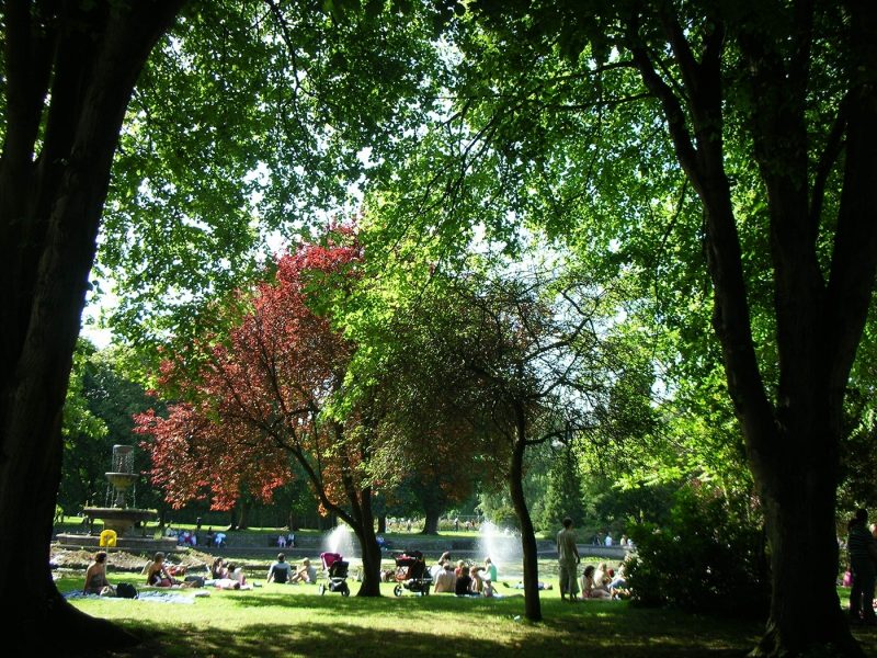 People sitting in Fitzgerald Park