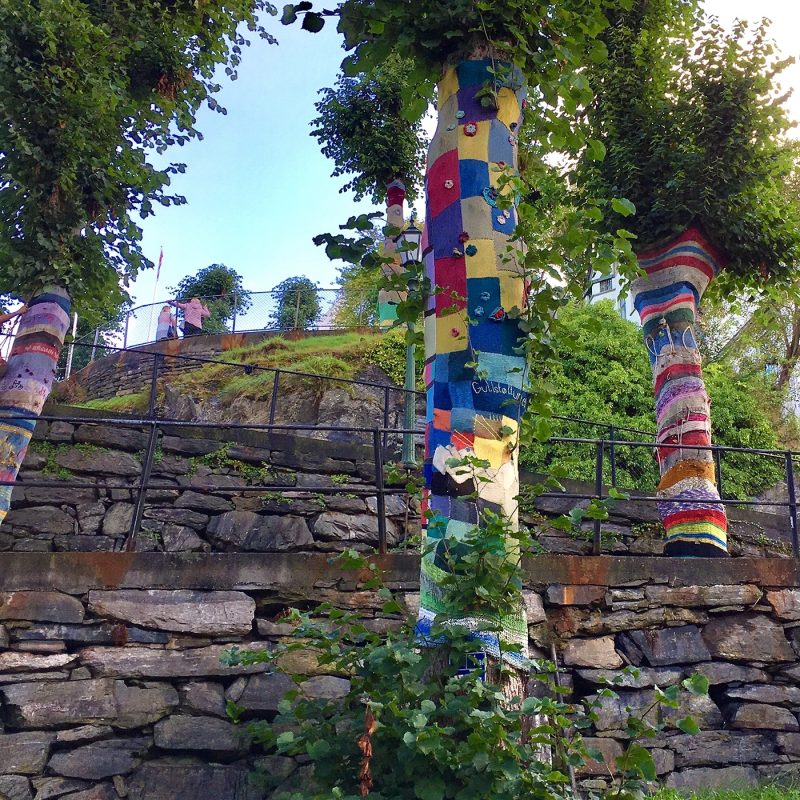 Kate Dowse Tree Cosy
