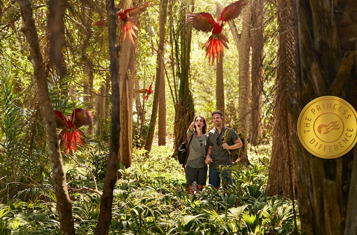 Couple in rainforest