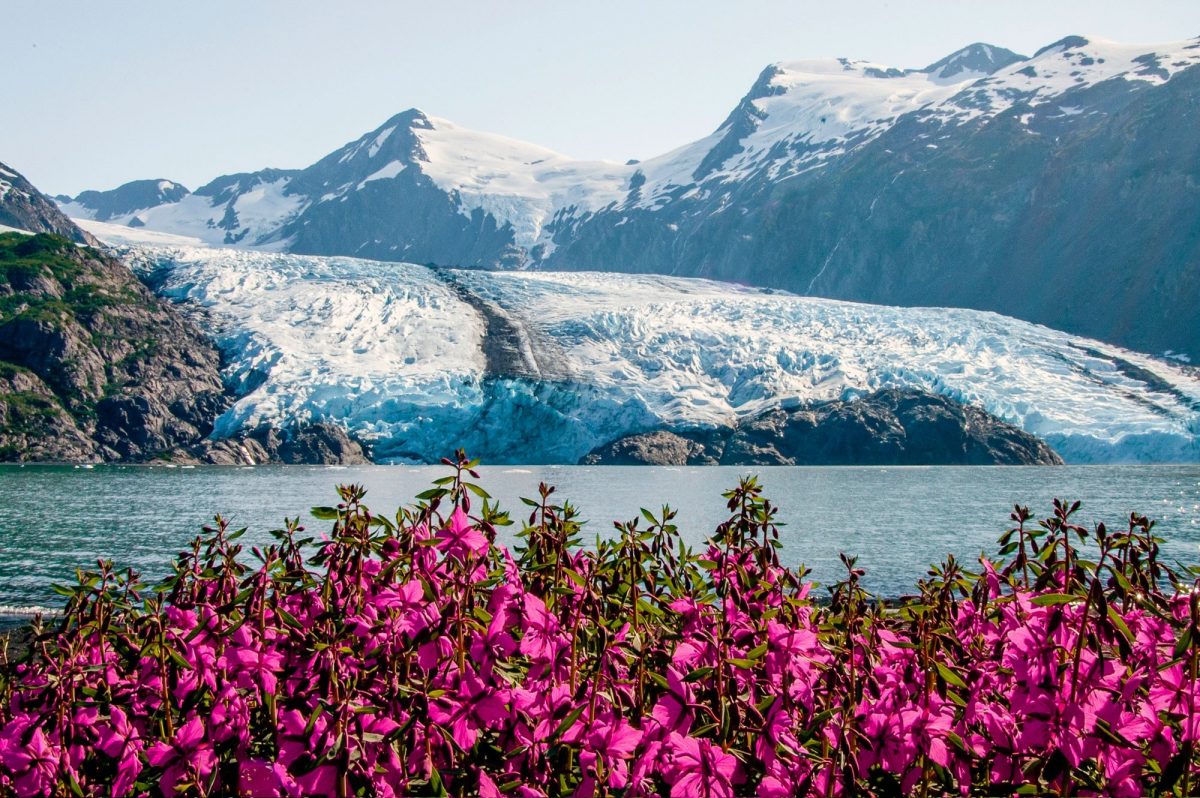 Scenic image of glacier in Alaska