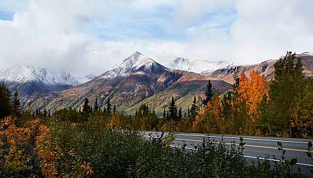 Scenic view of Alaska with mountain, trees and road