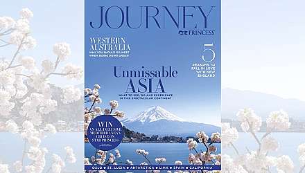 JOURNEY Microsite Cover Image 2024 800x533px