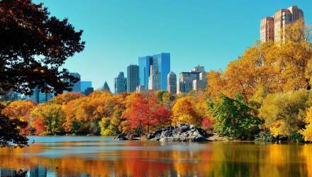 A view of New York City in autumn