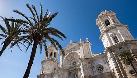 Palm trees in front of Cathedral in Cadiz, Spain