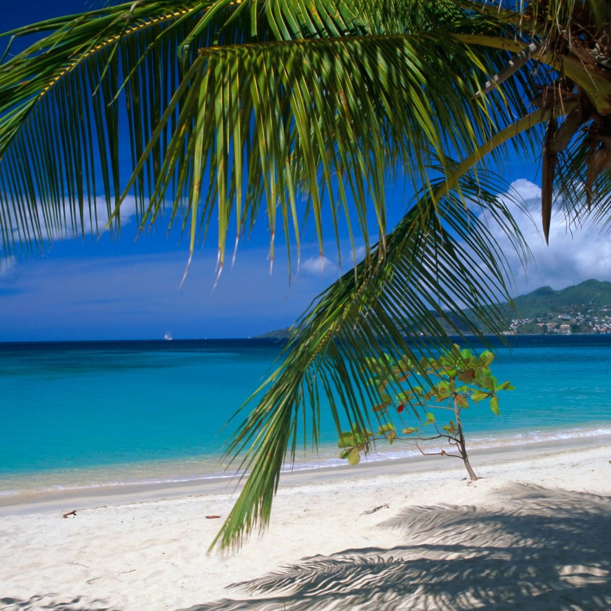 ‘Grenada offers the complete Caribbean experience’ | Journey Magazine