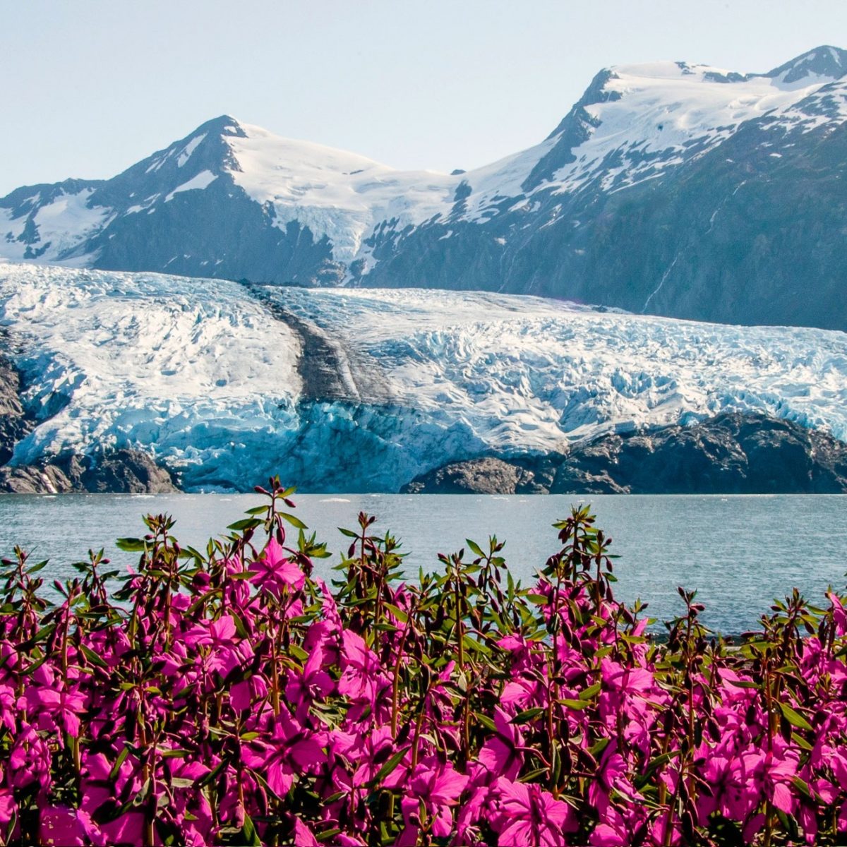 Five bucketlist things to do in Alaska Journey Magazine