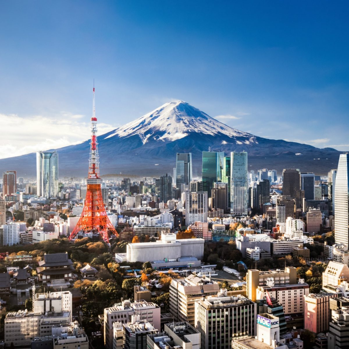 How to enjoy the scenic side of Tokyo, Japan Journey